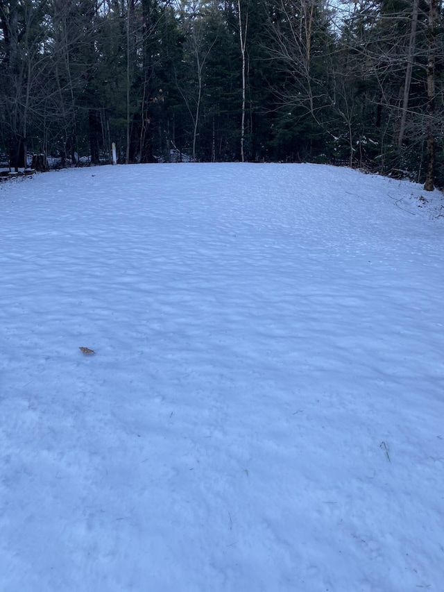 view of snowy yard