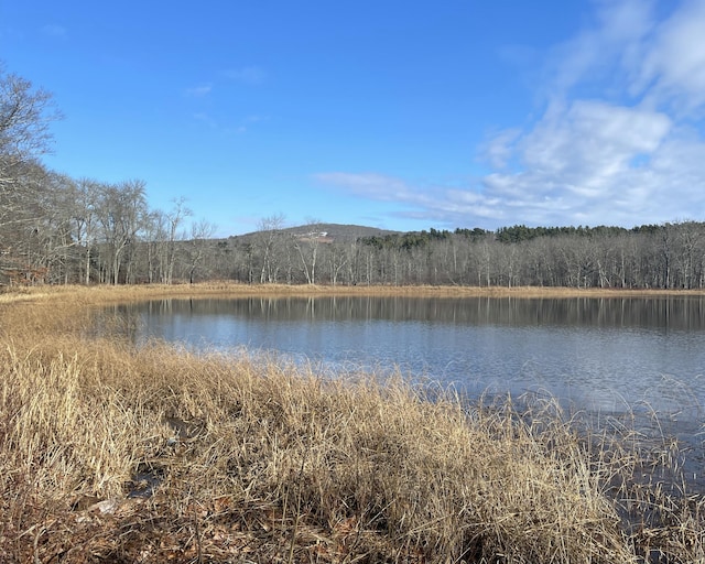 208 Depot St, Union, ME 04862 - water view featuring a heavily wooded area