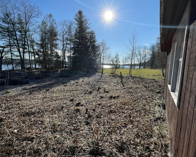 208 Depot St, Union, ME 04862 - view of yard