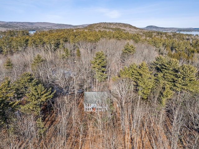 bird's eye view featuring a mountain view