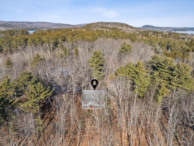 aerial view with a mountain view