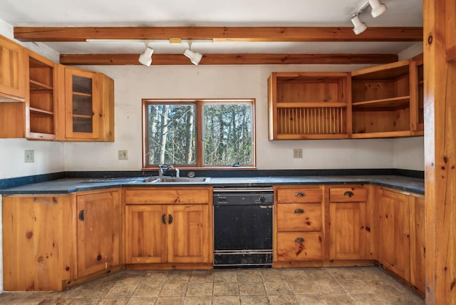 kitchen with sink, dishwasher, and rail lighting