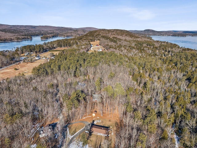 drone / aerial view featuring a water and mountain view