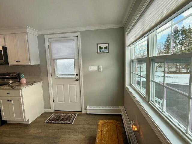 doorway with a baseboard radiator, dark hardwood / wood-style floors, and ornamental molding