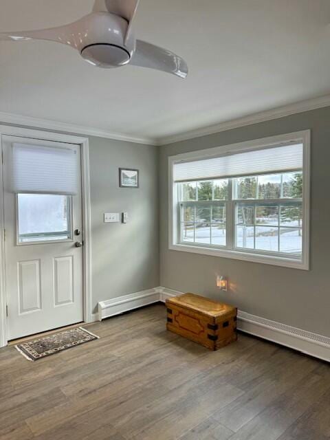 interior space with wood-type flooring and crown molding