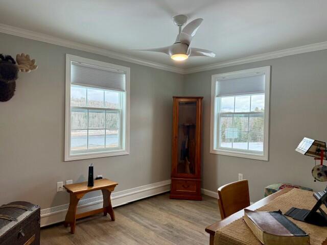 office area with light hardwood / wood-style flooring, ceiling fan, a healthy amount of sunlight, and crown molding