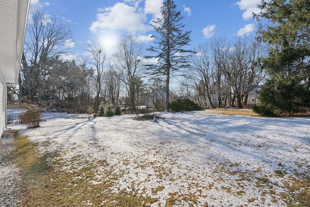 view of yard layered in snow