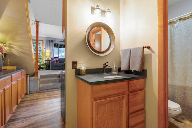 bathroom with toilet, vanity, and hardwood / wood-style flooring