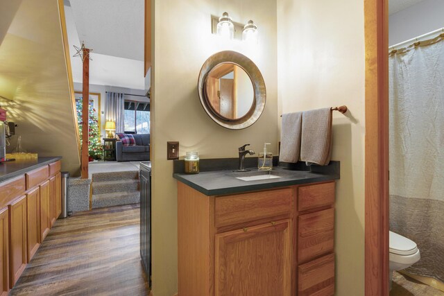 8 Sunrise Dr Unit C122, Newry, ME 04261 - bathroom featuring vanity, wood finished floors, and toilet