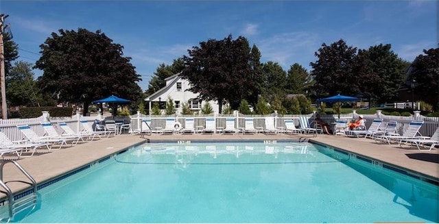 view of pool with a patio area