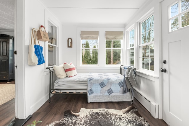 bedroom featuring multiple windows, a baseboard radiator, and dark hardwood / wood-style floors