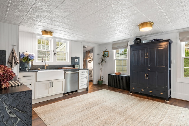 kitchen featuring stainless steel dishwasher, white cabinets, radiator heating unit, and a wealth of natural light