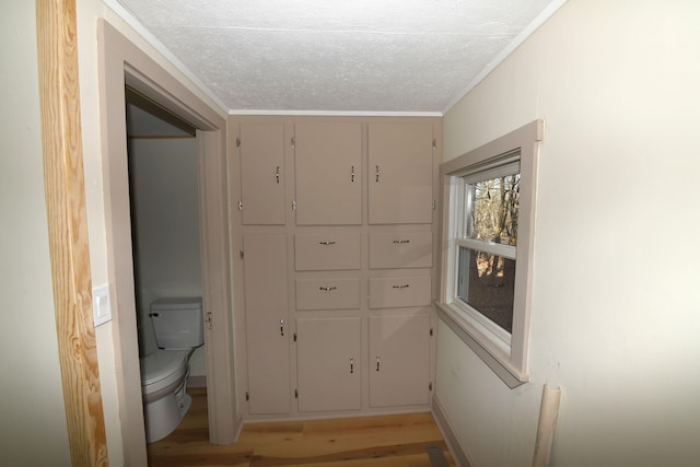 hall with crown molding, light hardwood / wood-style flooring, and a textured ceiling