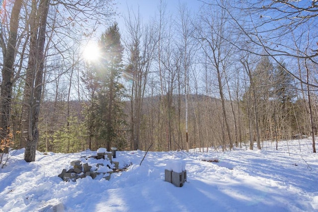 view of snowy view