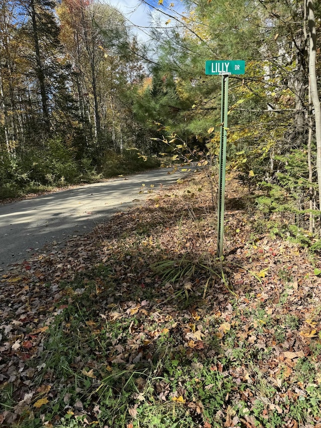 Listing photo 3 for LOT9-1 Lilly Dr, Newport ME 04953