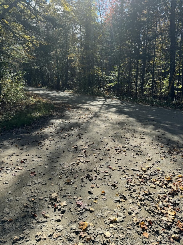 LOT9-1 Lilly Dr, Newport, ME 04953 - photo 3