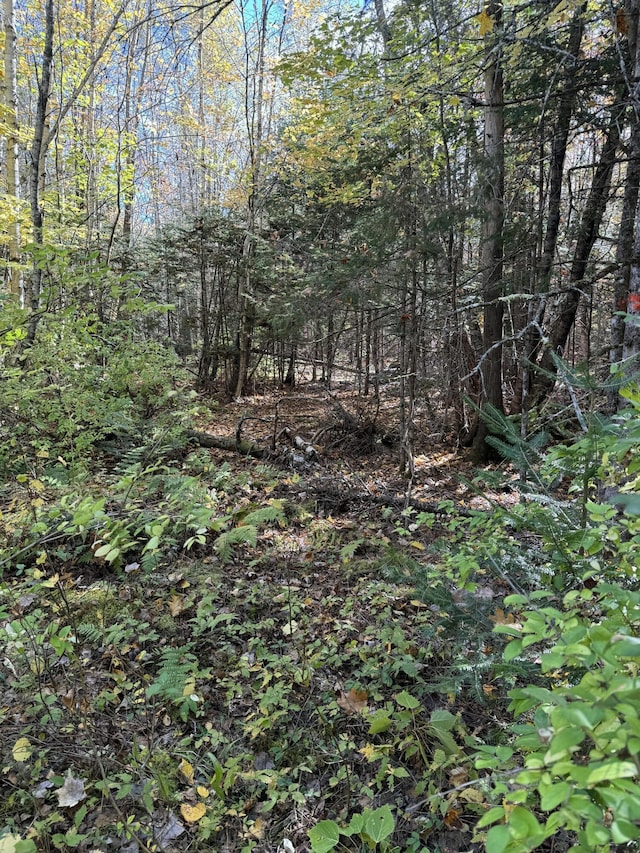 LOT9-1 Lilly Dr, Newport, ME 04953 - photo 6
