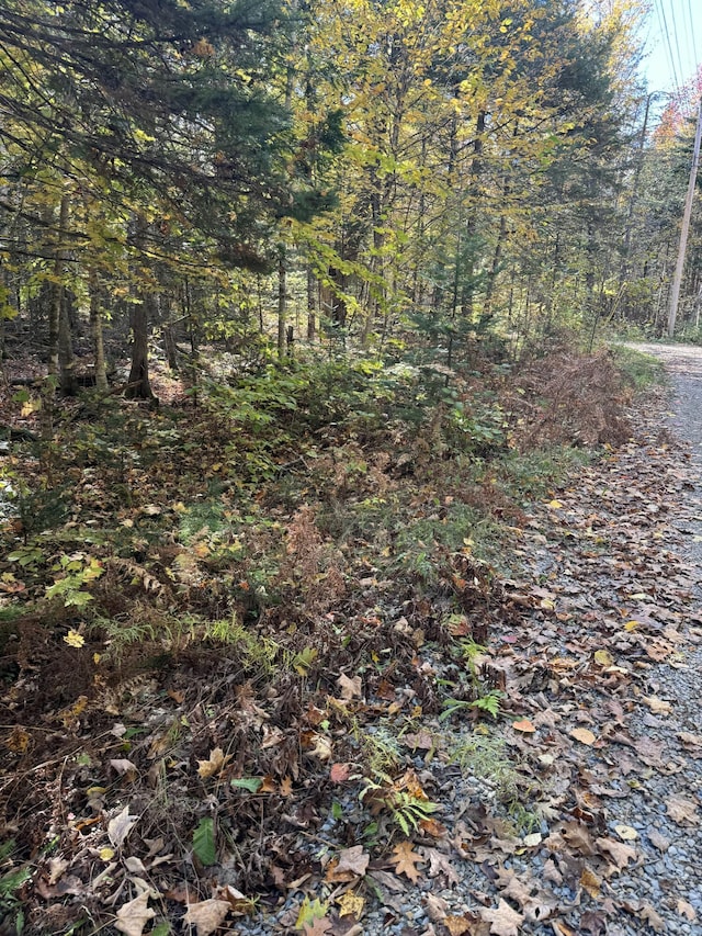 LOT9-1 Lilly Dr, Newport ME, 04953 land for sale