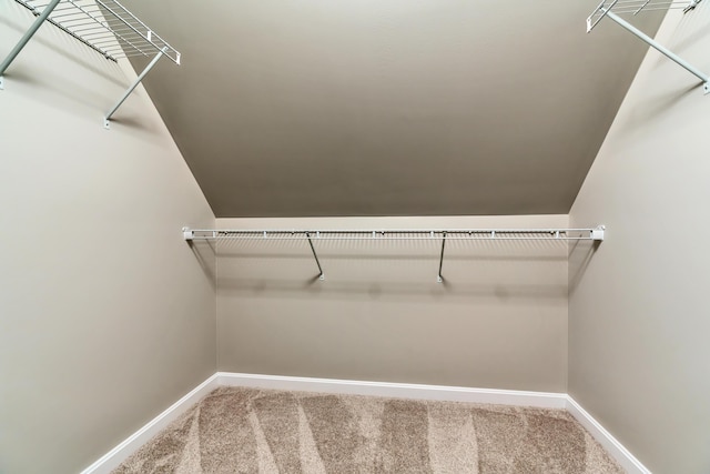 spacious closet featuring lofted ceiling and carpet floors