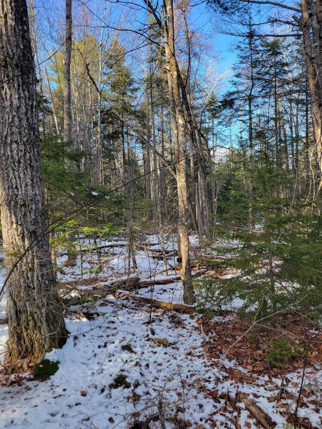 M6L37 Savery Rd, Searsport ME, 04974 land for sale