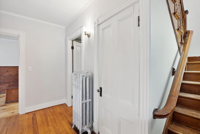 hall with crown molding, radiator heating unit, and light hardwood / wood-style floors