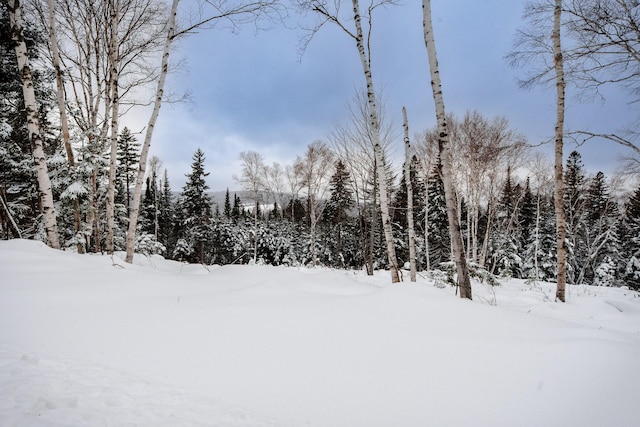 view of snowy yard