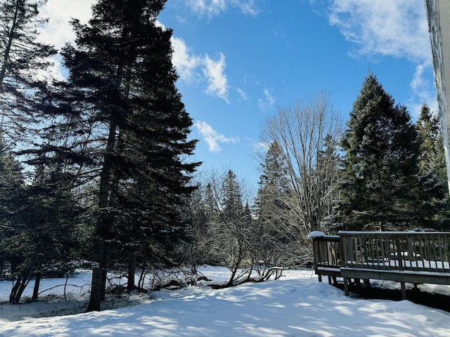 yard covered in snow with a wooden deck