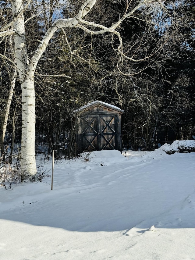 yard covered in snow featuring an outbuilding and a shed