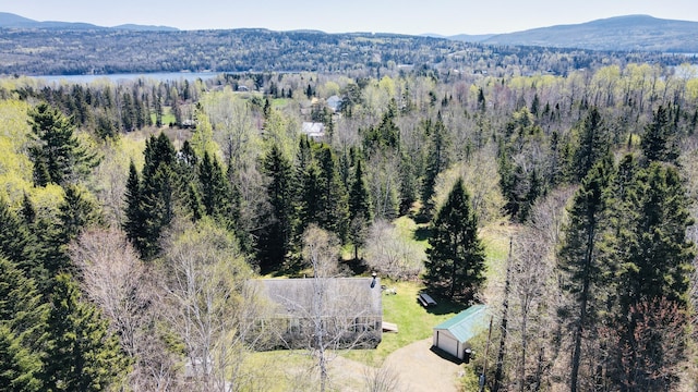17 Saddleback Vw, Rangeley, ME 04970 - view of subject property featuring a heavily wooded area and a mountain backdrop