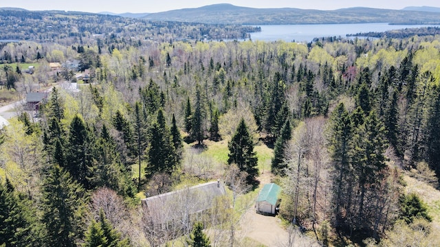 17 Saddleback Vw, Rangeley, ME 04970 - drone / aerial view of a forest and a water and mountain view