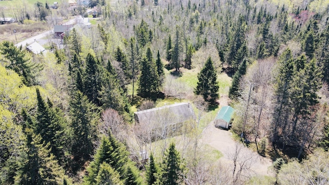 17 Saddleback Vw, Rangeley, ME 04970 - bird's eye view of a forest