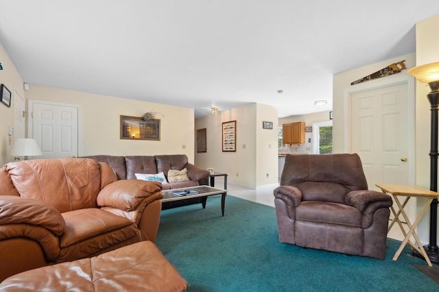 17 Saddleback Vw, Rangeley, ME 04970 - living room with carpet flooring and baseboards