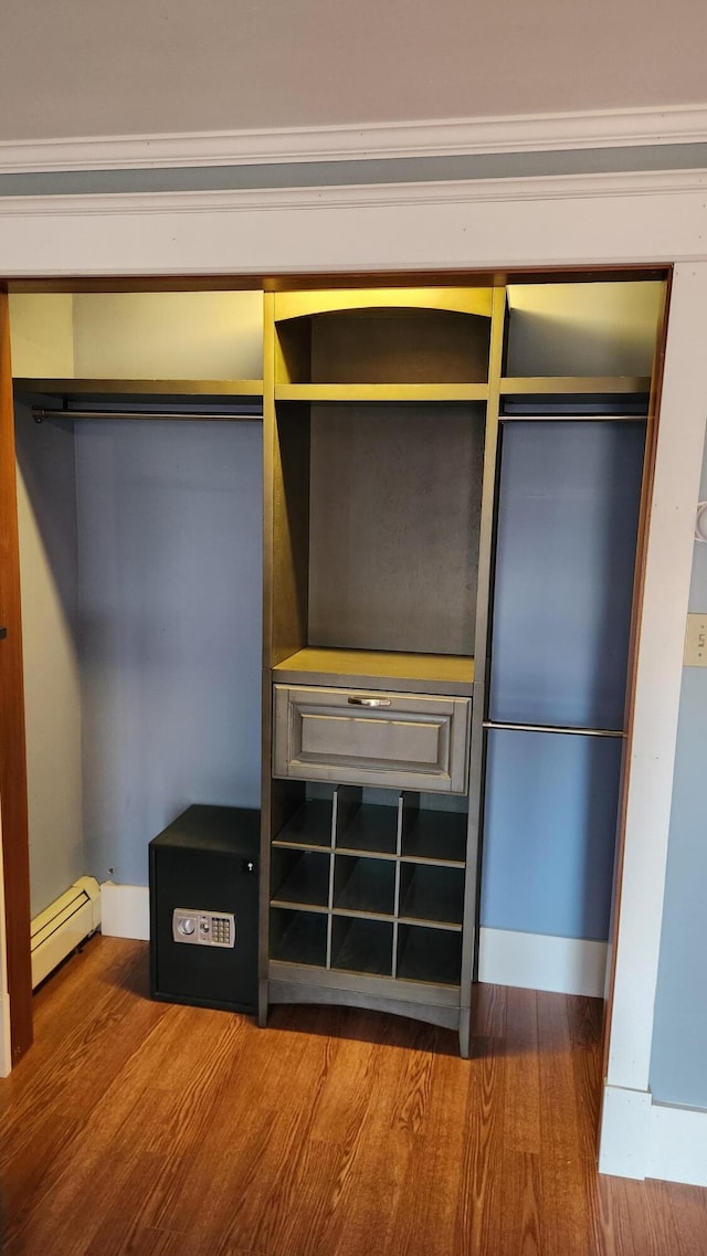 closet featuring a baseboard radiator