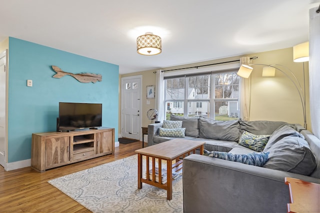 living room with wood-type flooring