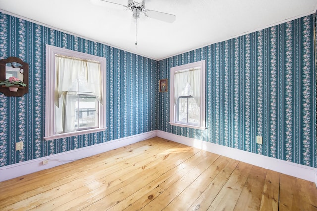 empty room with hardwood / wood-style floors, plenty of natural light, and ceiling fan