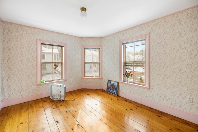 empty room with hardwood / wood-style flooring