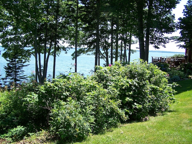 view of water feature