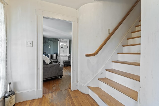 stairway featuring wood-type flooring