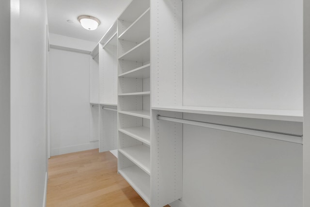 spacious closet with light hardwood / wood-style flooring