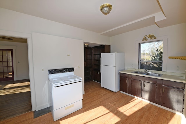 kitchen featuring sink, light hardwood / wood-style flooring, white fridge, dark brown cabinets, and range