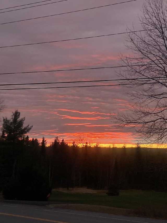 view of nature at dusk