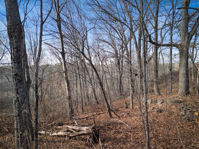 view of local wilderness