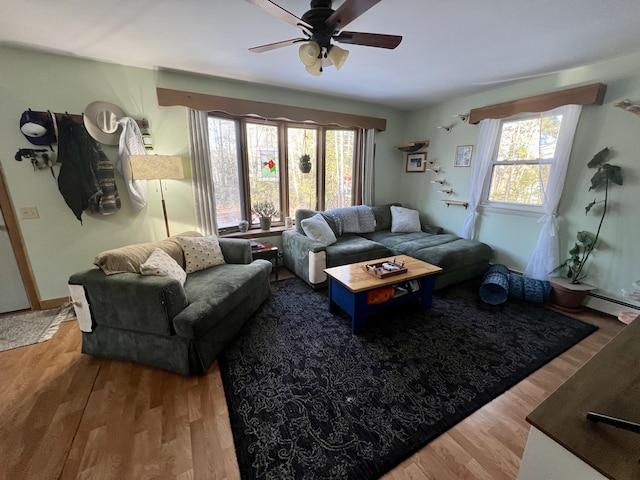 living room featuring ceiling fan and hardwood / wood-style floors