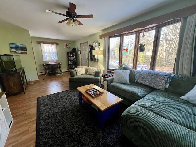 living room with a wealth of natural light, ceiling fan, and light hardwood / wood-style floors