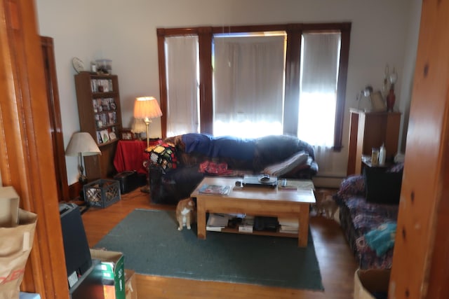 living room with dark hardwood / wood-style flooring