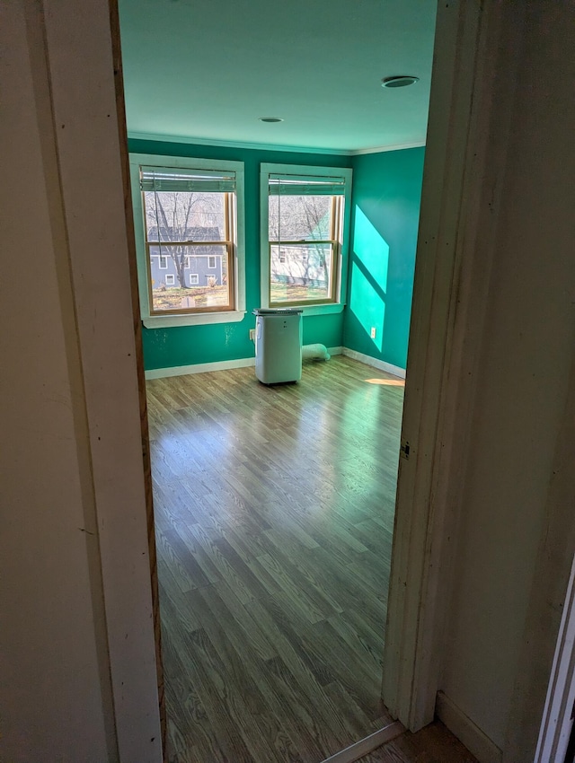 additional living space featuring hardwood / wood-style flooring