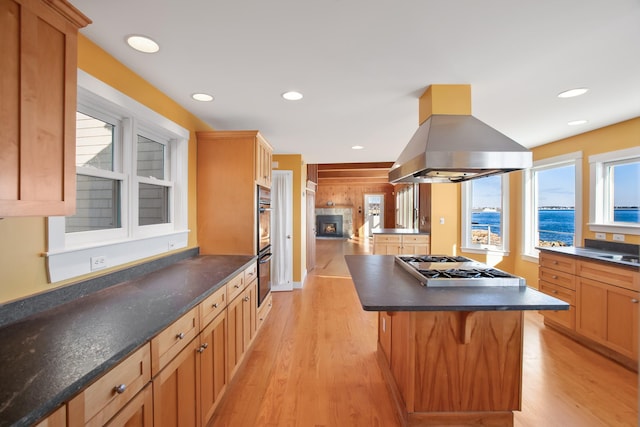 kitchen featuring stainless steel appliances, island range hood, a center island, and a healthy amount of sunlight