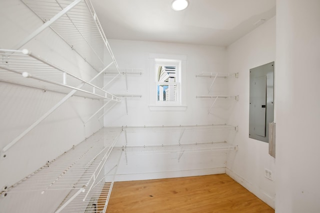 spacious closet featuring electric panel and wood-type flooring