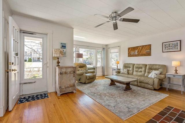 living room featuring ceiling fan and light hardwood / wood-style flooring