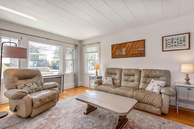 living room with light wood-type flooring